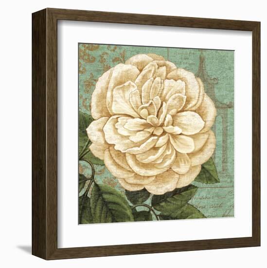 Camellia Study II-Suzanne Nicoll-Framed Art Print