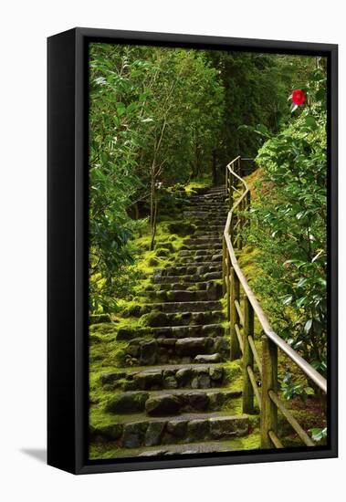 Camellia, Wild Garden, Portland Japanese Garden, Portland, Oregon, Usa-Michel Hersen-Framed Premier Image Canvas