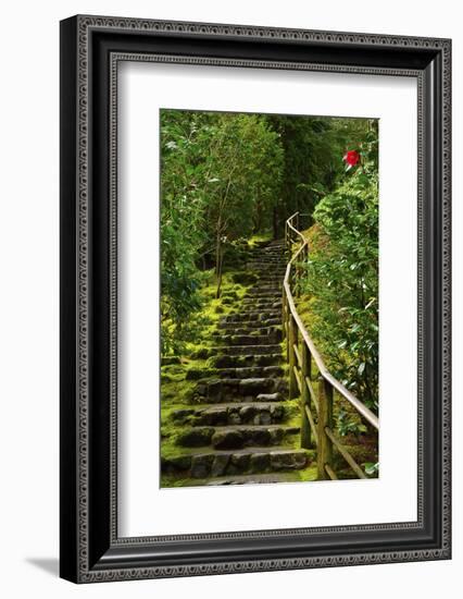 Camellia, Wild Garden, Portland Japanese Garden, Portland, Oregon, Usa-Michel Hersen-Framed Photographic Print