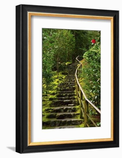 Camellia, Wild Garden, Portland Japanese Garden, Portland, Oregon, Usa-Michel Hersen-Framed Photographic Print