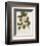 Camellia-John Miller-Framed Premium Giclee Print