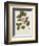 Camellia-John Miller-Framed Premium Giclee Print