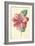 Camellia-Frederick Edward Hulme-Framed Giclee Print