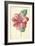 Camellia-Frederick Edward Hulme-Framed Giclee Print