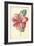Camellia-Frederick Edward Hulme-Framed Giclee Print