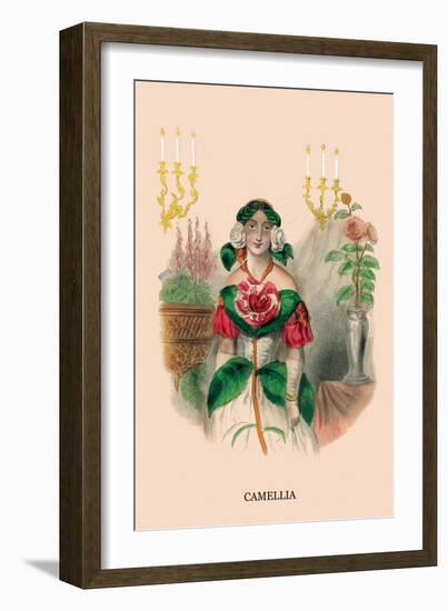 Camellia-J.J. Grandville-Framed Art Print