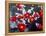 Camellias and Cherry Petals, Jingoji Temple, Kyoto, Japan-null-Framed Premier Image Canvas