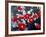 Camellias and Cherry Petals, Jingoji Temple, Kyoto, Japan-null-Framed Photographic Print