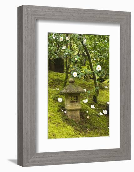 Camellias, Spring, Pagoda, Portland Japanese Garden, Oregon, USA-Michel Hersen-Framed Photographic Print