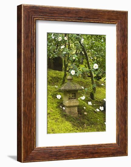 Camellias, Spring, Pagoda, Portland Japanese Garden, Oregon, USA-Michel Hersen-Framed Photographic Print