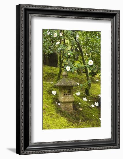 Camellias, Spring, Pagoda, Portland Japanese Garden, Oregon, USA-Michel Hersen-Framed Photographic Print