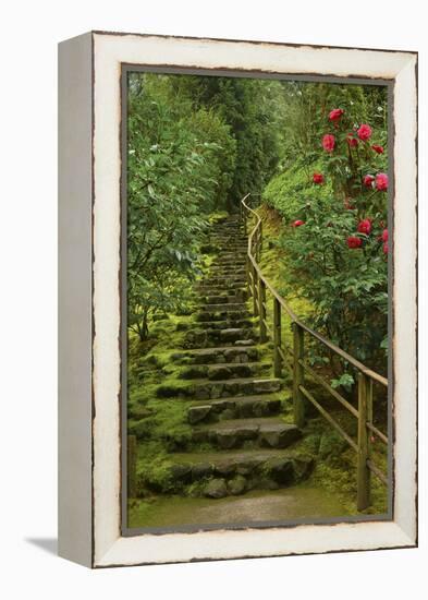 Camellias Steps, Portland Japanese Garden, Portland, Oregon, Usa-Michel Hersen-Framed Premier Image Canvas