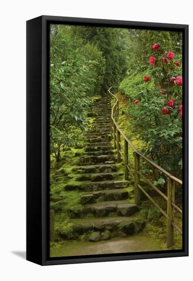 Camellias Steps, Portland Japanese Garden, Portland, Oregon, Usa-Michel Hersen-Framed Premier Image Canvas