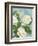 Camellias-Pamela Gladding-Framed Art Print