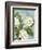 Camellias-Pamela Gladding-Framed Art Print