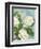 Camellias-Pamela Gladding-Framed Art Print