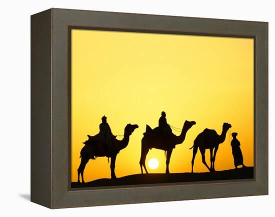 Camels and camel driver silhouetted at sunset, Thar Desert, Jodhpur, India-Adam Jones-Framed Premier Image Canvas