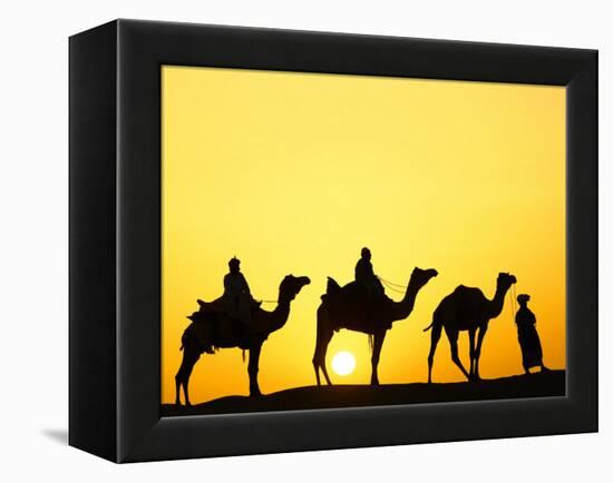 Camels and camel driver silhouetted at sunset, Thar Desert, Jodhpur, India-Adam Jones-Framed Premier Image Canvas