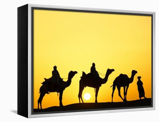 Camels and camel driver silhouetted at sunset, Thar Desert, Jodhpur, India-Adam Jones-Framed Premier Image Canvas