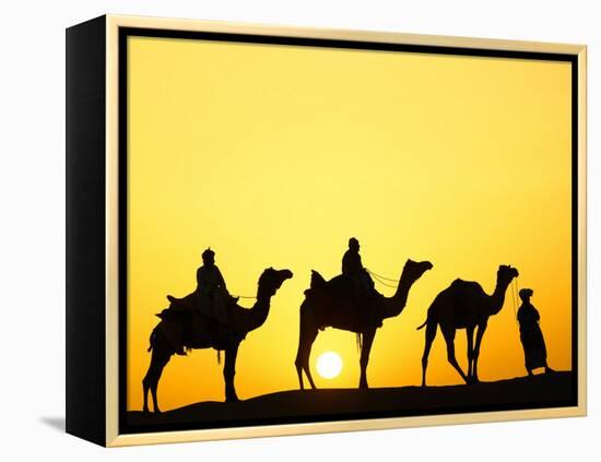 Camels and camel driver silhouetted at sunset, Thar Desert, Jodhpur, India-Adam Jones-Framed Premier Image Canvas