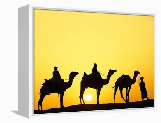 Camels and camel driver silhouetted at sunset, Thar Desert, Jodhpur, India-Adam Jones-Framed Premier Image Canvas