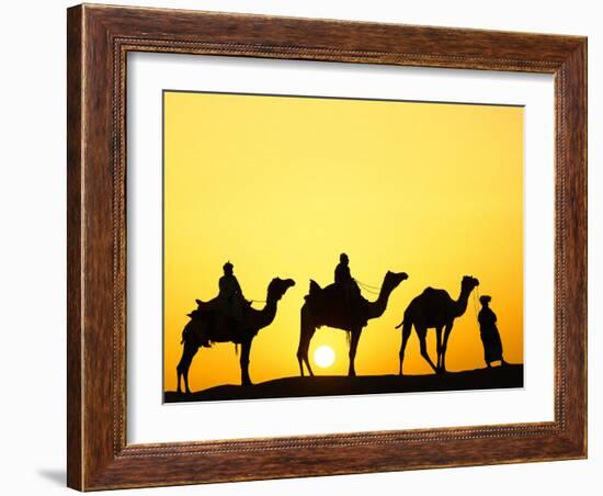 Camels and camel driver silhouetted at sunset, Thar Desert, Jodhpur, India-Adam Jones-Framed Photographic Print