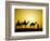 Camels and camel driver silhouetted at sunset, Thar Desert, Jodhpur, India-Adam Jones-Framed Photographic Print