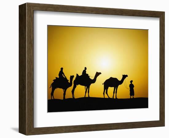 Camels and camel driver silhouetted at sunset, Thar Desert, Jodhpur, India-Adam Jones-Framed Photographic Print