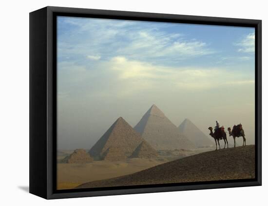 Camels and Driver at the Pyramids Complex, Egypt-Claudia Adams-Framed Premier Image Canvas