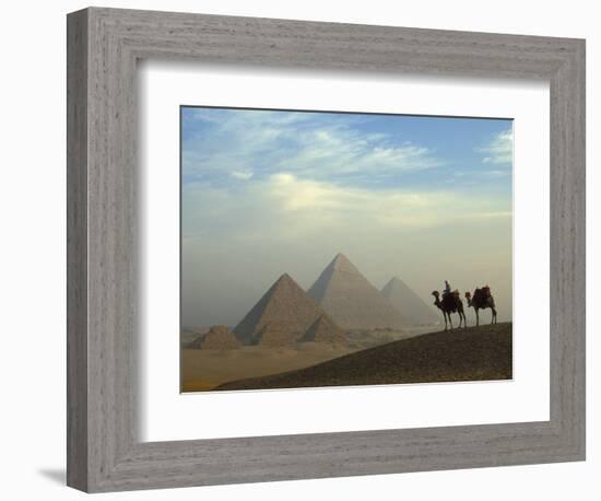 Camels and Driver at the Pyramids Complex, Egypt-Claudia Adams-Framed Photographic Print