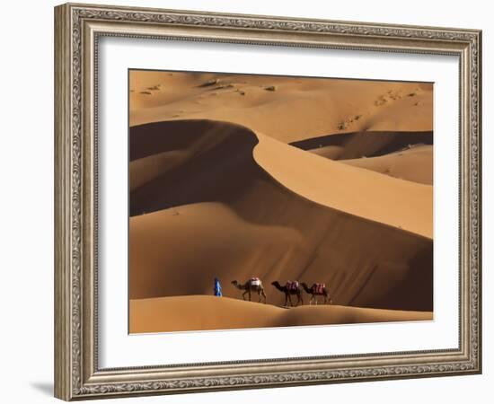 Camels and Dunes, Erg Chebbi, Sahara Desert, Morocco-Peter Adams-Framed Photographic Print