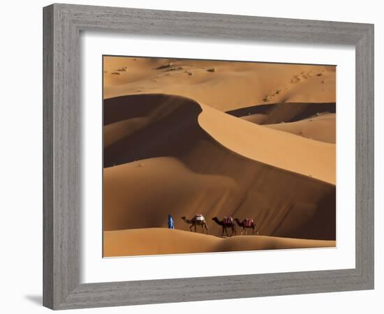 Camels and Dunes, Erg Chebbi, Sahara Desert, Morocco-Peter Adams-Framed Photographic Print