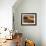 Camels and Dunes, Erg Chebbi, Sahara Desert, Morocco-Peter Adams-Framed Photographic Print displayed on a wall