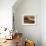 Camels and Dunes, Erg Chebbi, Sahara Desert, Morocco-Peter Adams-Framed Photographic Print displayed on a wall