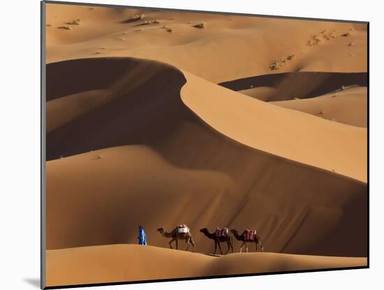 Camels and Dunes, Erg Chebbi, Sahara Desert, Morocco-Peter Adams-Mounted Photographic Print