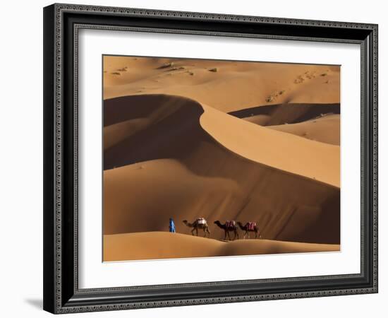 Camels and Dunes, Erg Chebbi, Sahara Desert, Morocco-Peter Adams-Framed Photographic Print