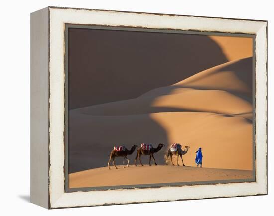 Camels and Dunes, Erg Chebbi, Sahara Desert, Morocco-Peter Adams-Framed Premier Image Canvas