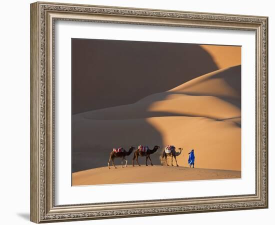 Camels and Dunes, Erg Chebbi, Sahara Desert, Morocco-Peter Adams-Framed Photographic Print