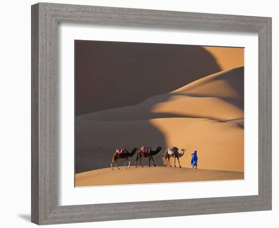 Camels and Dunes, Erg Chebbi, Sahara Desert, Morocco-Peter Adams-Framed Photographic Print