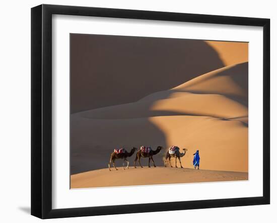 Camels and Dunes, Erg Chebbi, Sahara Desert, Morocco-Peter Adams-Framed Photographic Print