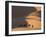 Camels and Dunes, Erg Chebbi, Sahara Desert, Morocco-Peter Adams-Framed Photographic Print