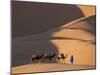 Camels and Dunes, Erg Chebbi, Sahara Desert, Morocco-Peter Adams-Mounted Photographic Print