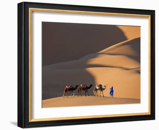 Camels and Dunes, Erg Chebbi, Sahara Desert, Morocco-Peter Adams-Framed Photographic Print