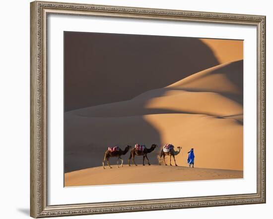 Camels and Dunes, Erg Chebbi, Sahara Desert, Morocco-Peter Adams-Framed Photographic Print