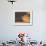 Camels and Dunes, Erg Chebbi, Sahara Desert, Morocco-Peter Adams-Framed Photographic Print displayed on a wall