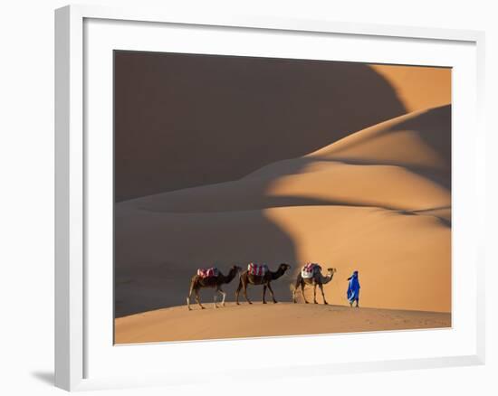 Camels and Dunes, Erg Chebbi, Sahara Desert, Morocco-Peter Adams-Framed Photographic Print