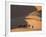 Camels and Dunes, Erg Chebbi, Sahara Desert, Morocco-Peter Adams-Framed Photographic Print