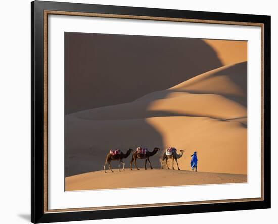 Camels and Dunes, Erg Chebbi, Sahara Desert, Morocco-Peter Adams-Framed Photographic Print