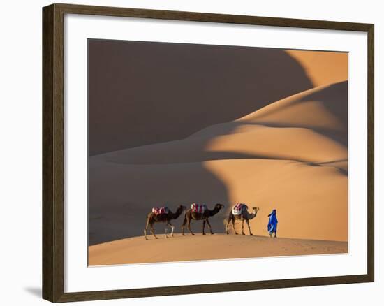 Camels and Dunes, Erg Chebbi, Sahara Desert, Morocco-Peter Adams-Framed Photographic Print