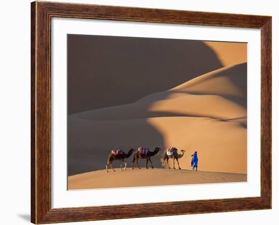 Camels and Dunes, Erg Chebbi, Sahara Desert, Morocco-Peter Adams-Framed Photographic Print